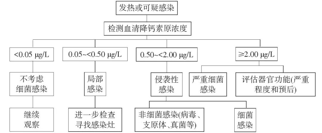 血降钙素原升高，就一定是细菌感染吗？