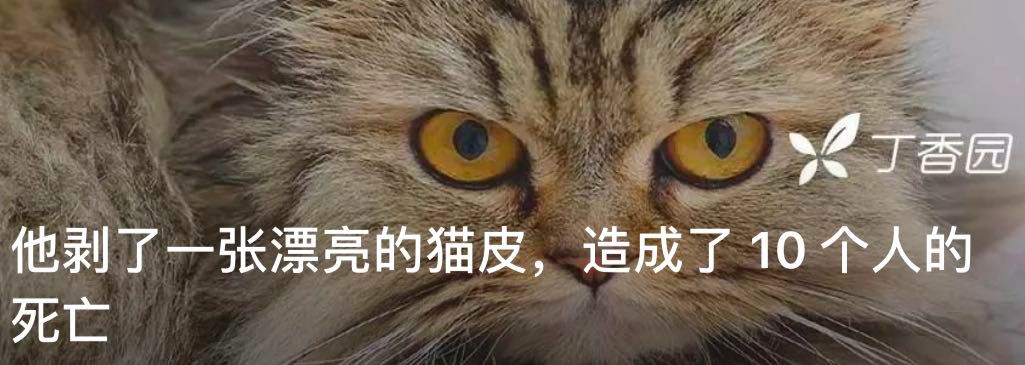 100 年前的东北大鼠疫,67 天消灭疫情的伍连德 100 年前的东北大鼠疫,67 天消灭疫情的伍连德