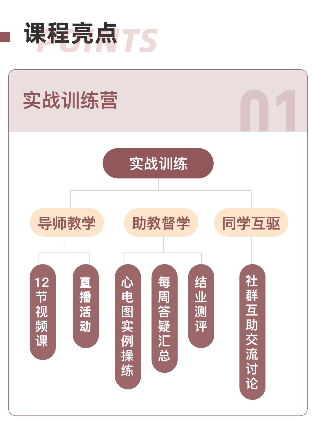 不靠死记硬背？心电图到底应该怎么学
