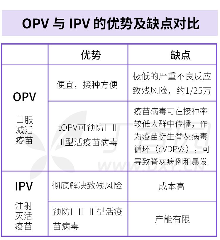 II 型脊灰病毒重现江湖，杀伤力究竟有多强？