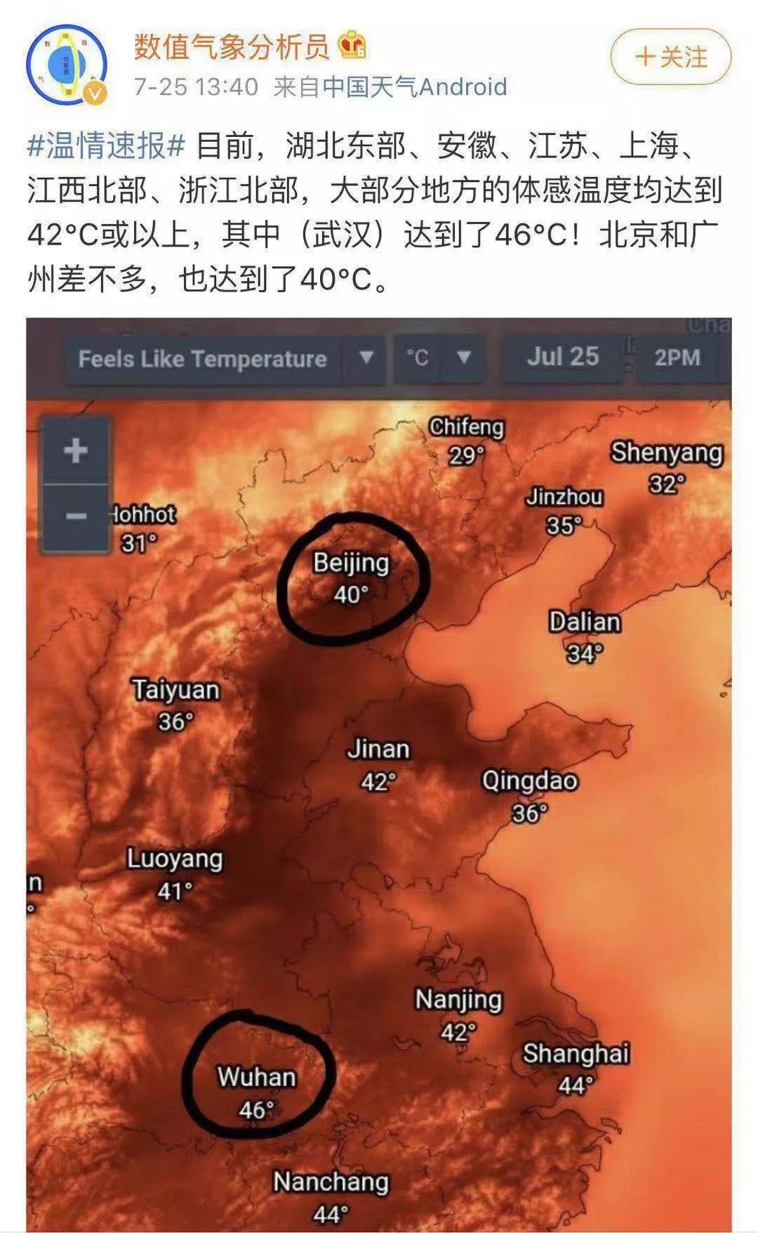 恶毒的花脚蚊子，你终于迎来了绝后的这一天