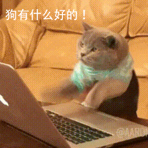 养狗可以降低死亡风险？那单身狗算不算……