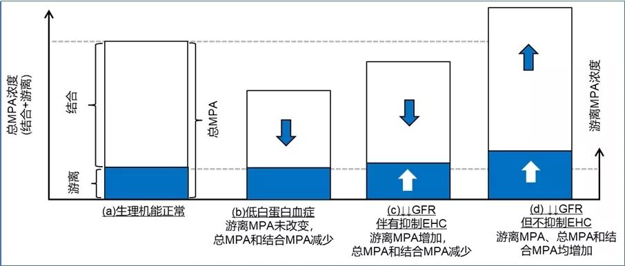 移植受者，对「One dosage fits all」 say NO！