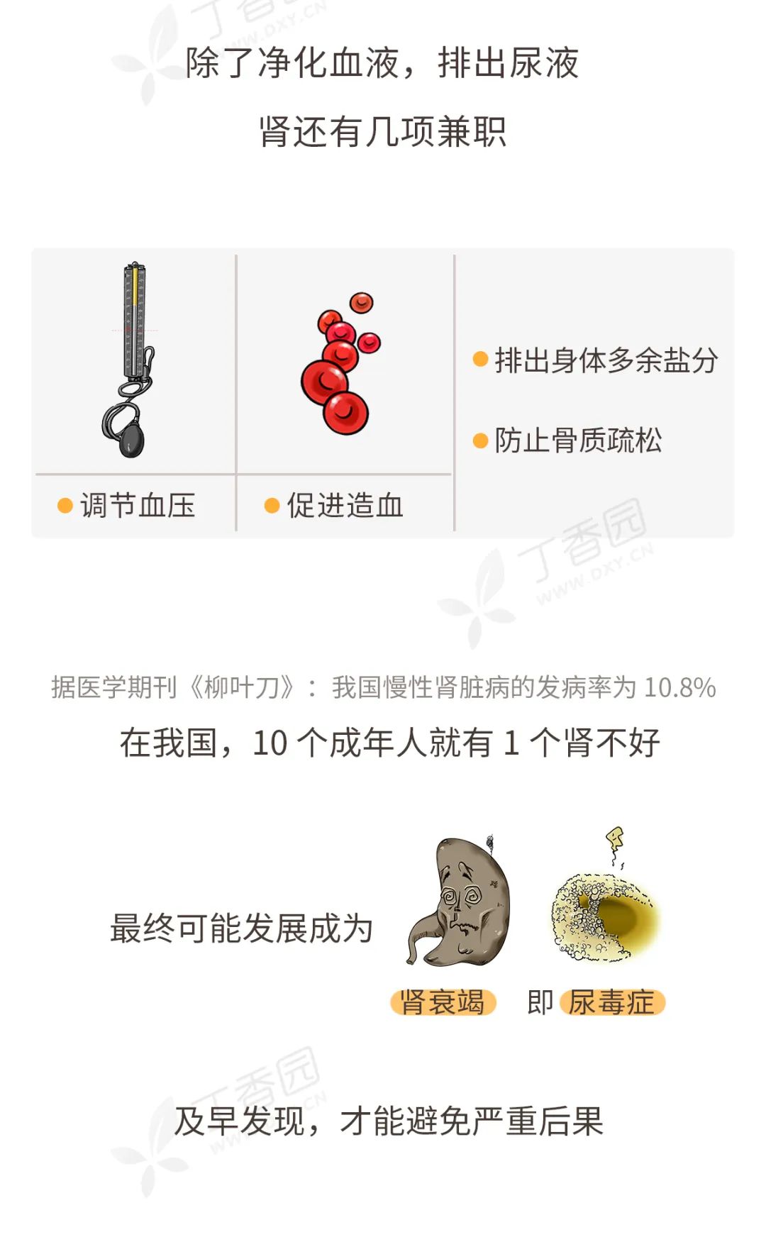 如何保护好你的肾，看这张图就够了 | 世界肾脏日